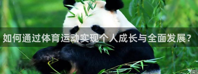 意昂体育官网登录：如何通过体育运动实现个人成长与全面发展？