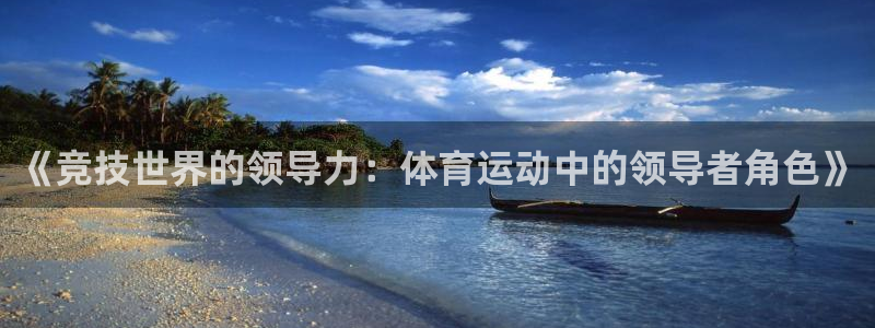 逐梦国际体育官网注册：《竞技世界的领导力：体育运动中的领导者角色》