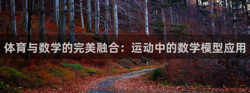 逐梦国际体育用品：体育与数学的完美融合：运动中的数学模型应用