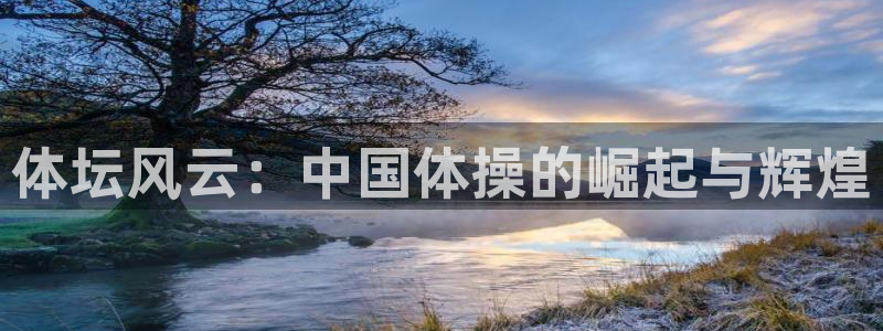 逐梦国际体育免费注册入口：体坛风云：中国体操的崛起与辉煌