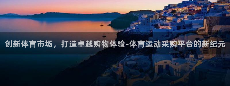逐梦国际登录：创新体育市场，打造卓越购物体验-体育运动采购平台的新纪元