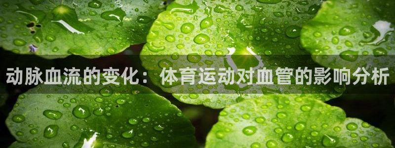 逐梦国际体育凯捷代理注册：动脉血流的变化：体育运动对血管的影响分析