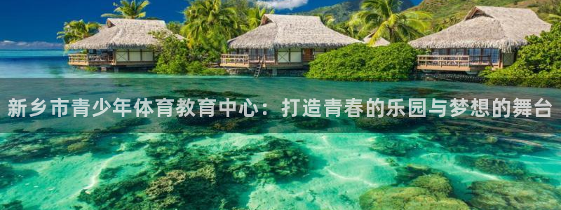 成都逐梦国际电子有限公司：新乡市青少年体育教育中心：打造青春的乐园与梦想的舞台