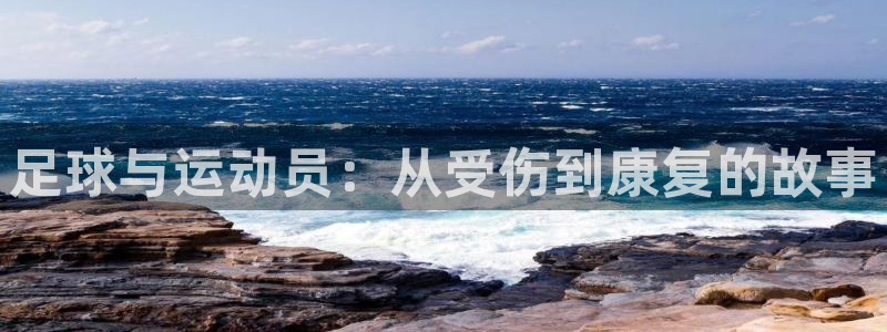 德国意昂集团