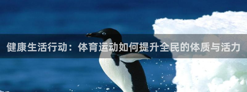 逐梦国际体育合法嘛