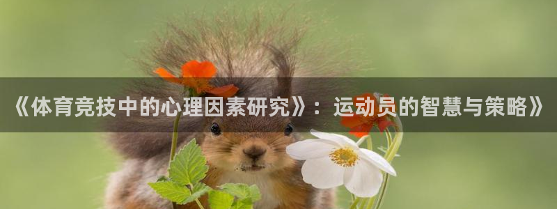 北京意昂科技有限公司：《体育竞技中的心理因素研究》：运动员的智慧与策略》