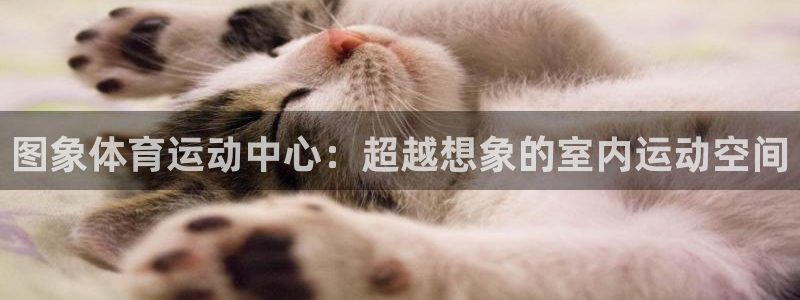 意昂体育：图象体育运动中心：超越想象的室内运动空间
