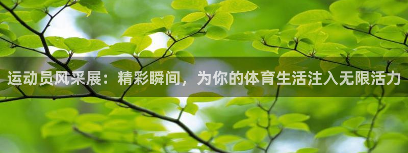 逐梦国际3代理：运动员风采展：精彩瞬间，为你的体育生活注入无限活力