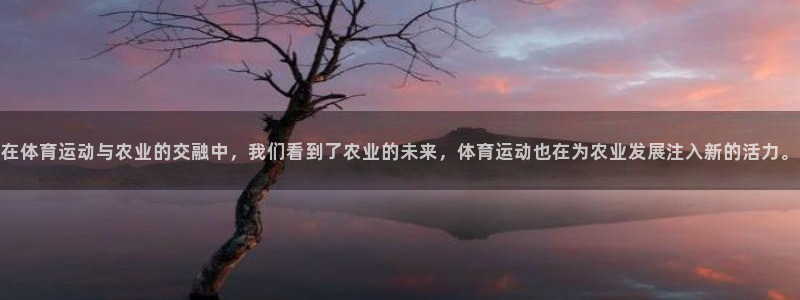 逐梦国际3登录：在体育运动与农业的交融中，我们看到了农业的未来，体育运动也在为农业发展注入新的活力。