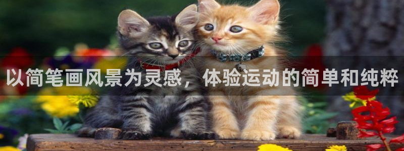 逐梦国际注册：以简笔画风景为灵感，体验运动的简单和纯粹