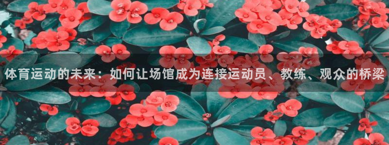 逐梦国际体育注册代理：体育运动的未来：如何让场馆成为连接运动员、教练、观众的桥梁