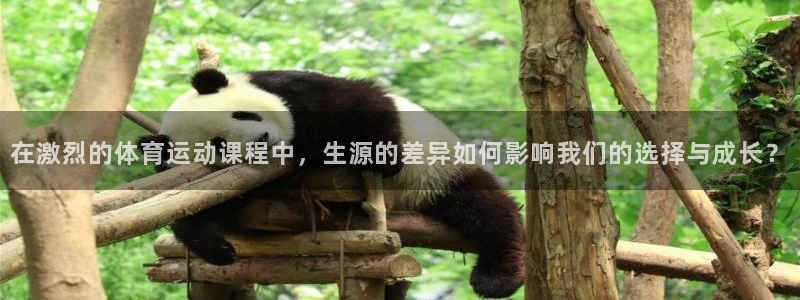 佛山市南海意昂机电仪器有限公司：在激烈的体育运动课程中，生源的差异如何影响我们的选择与成长？