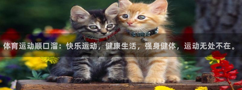 逐梦国际能源