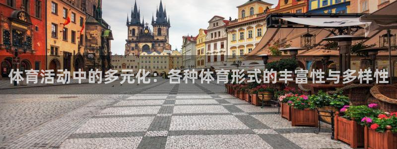 逐梦国际平台注册入口：体育活动中的多元化：各种体育形式的丰富性与多样性