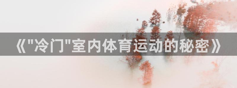 逐梦国际凯捷平台：《\
