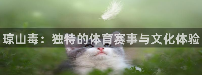 逐梦国际3：琼山毒：独特的体育赛事与文化体验