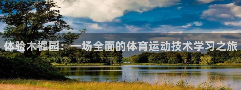 逐梦国际4代理：体验木樨园：一场全面的体育运动技术学习之旅