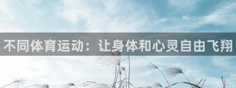 逐梦国际能源：不同体育运动：让身体和心灵自由飞翔