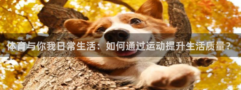 逐梦国际官网注册：体育与你我日常生活：如何通过运动提升生活质量？