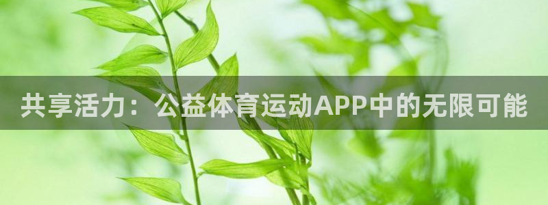 逐梦国际体育游戏：共享活力：公益体育运动APP中的无限可能