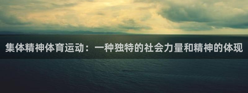 逐梦国际2代理注册：集体精神体育运动：一种独特的社会力量和精神的体现