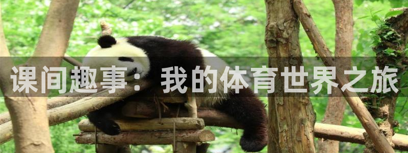 逐梦国际体育凯捷平台注册：课间趣事：我的体育世界之旅