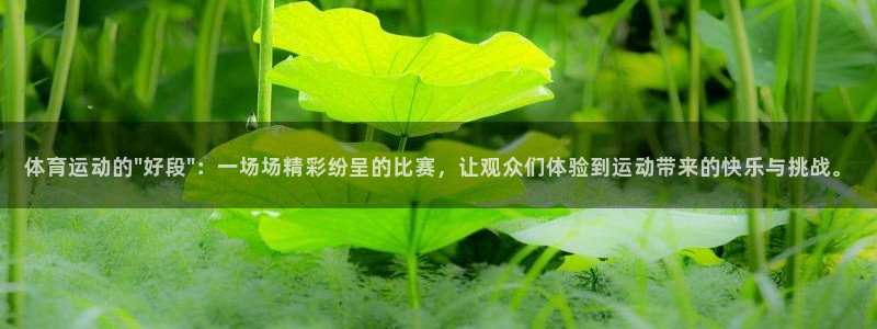 意昂4登录：体育运动的\