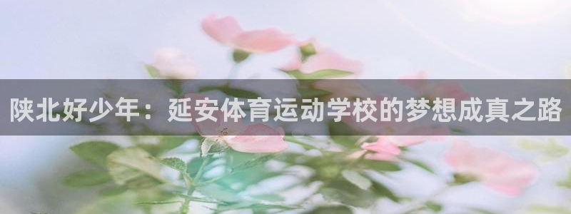 逐梦国际凯捷开号链接：陕北好少年：延安体育运动学校的梦想成真之路