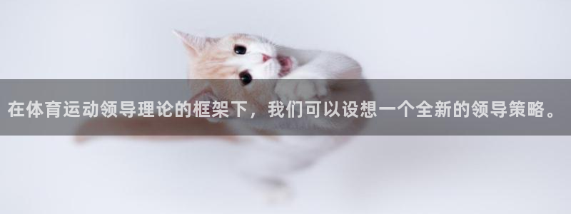 意昂集团：在体育运动领导理论的框架下，我们可以设想一个全新的领导策略。