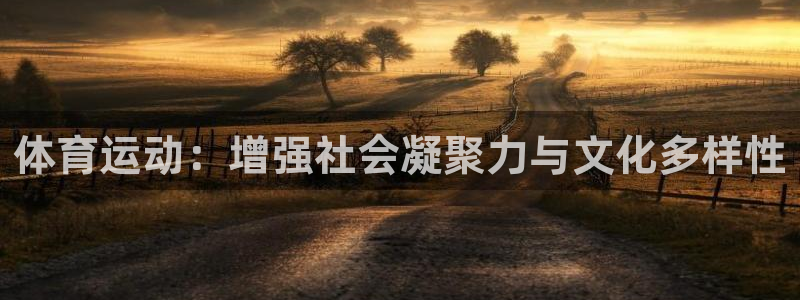 逐梦国际体育2：体育运动：增强社会凝聚力与文化多样性