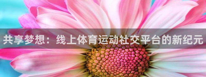 逐梦国际kgame：共享梦想：线上体育运动社交平台的新纪元