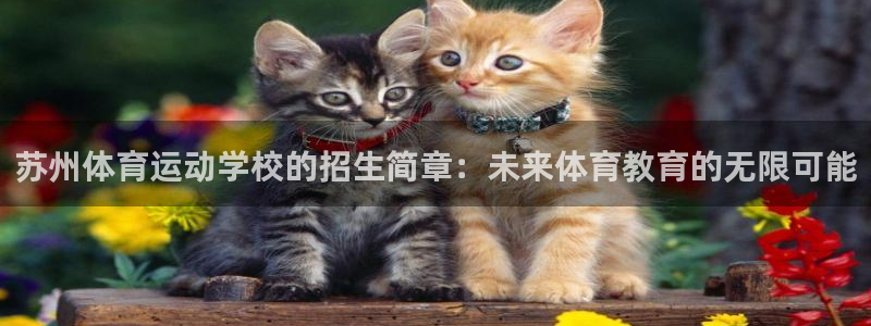 逐梦国际平台：苏州体育运动学校的招生简章：未来体育教育的无限可能