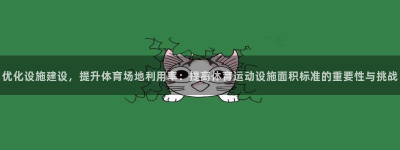 逐梦国际体育3在线注册：优化设施建设，提升体育场地利用率：提高体育运动设施面积标准的重要性与挑战