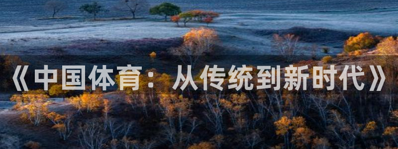 逐梦国际体育f开号