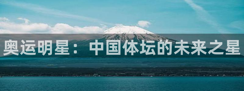 逐梦国际集团