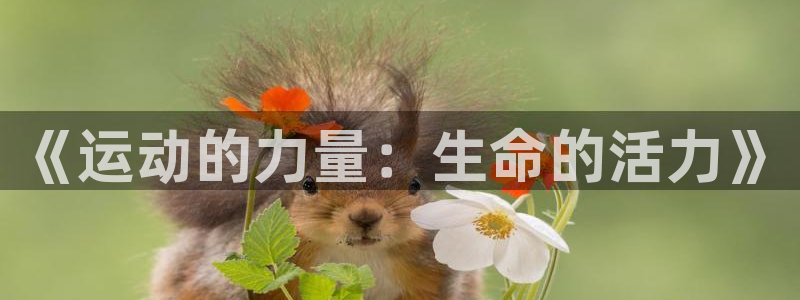 逐梦国际：《运动的力量：生命的活力》