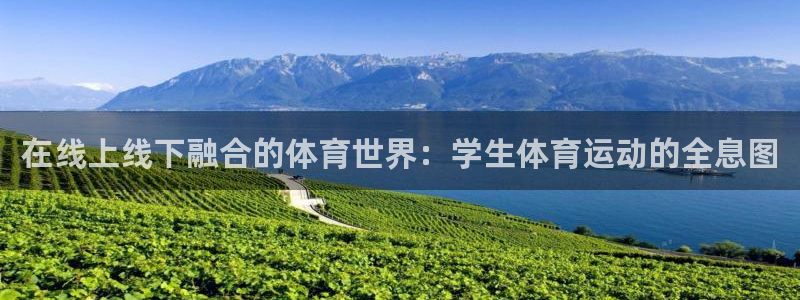 意昂包怎么样：在线上线下融合的体育世界：学生体育运动的全息图