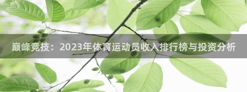 东莞市逐梦国际电子科技有限公司：巅峰竞技：2023年体育运动员收入排行榜与投资分析