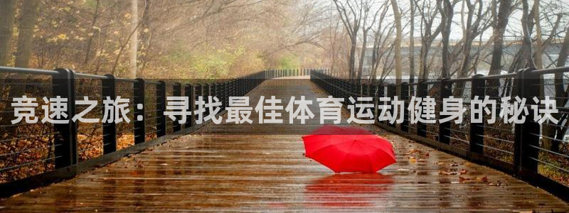 逐梦国际体育用品：竞速之旅：寻找最佳体育运动健身的秘诀