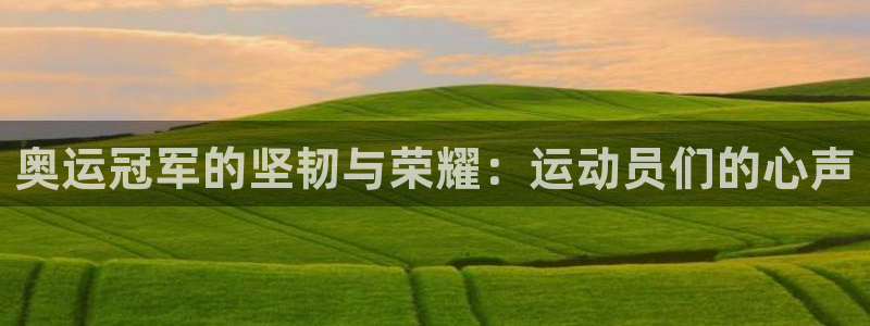 逐梦国际3：奥运冠军的坚韧与荣耀：运动员们的心声