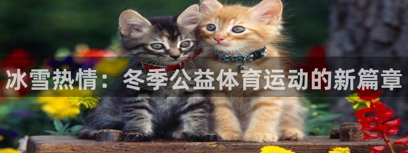 逐梦国际体育用品：冰雪热情：冬季公益体育运动的新篇章