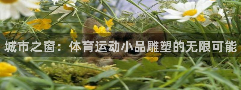 逐梦国际平台开户链接：城市之窗：体育运动小品雕塑的无限可能