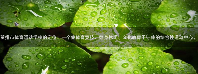 逐梦国际3代理：贺州市体育运动学校的定位：一个集体育竞技、健身休闲、文化教育于一体的综合性运动中心。